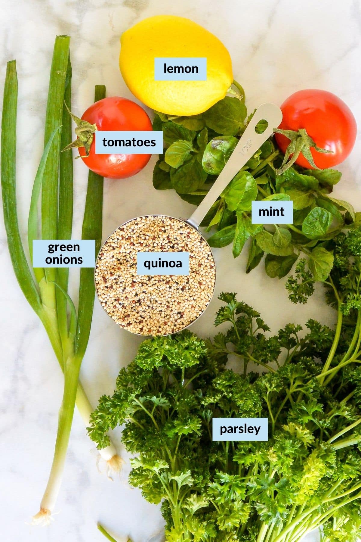 Photo of labeled ingredients needed to make this recipe