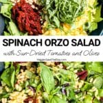 Salad components in a bowl and the tossed salad topped with fresh basil with text overlay: Spinach Orzo Salad with Sun-Dried Tomatoes and Olives.