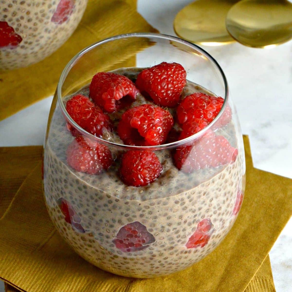Chocolate chia pudding topped with raspberries
