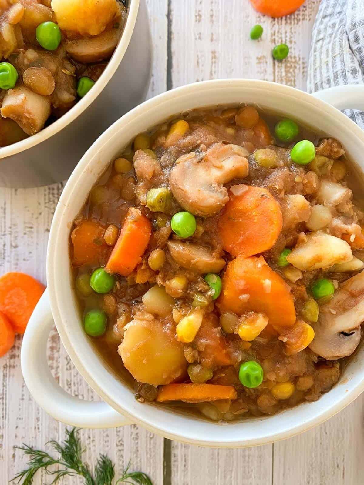Bowl of vegan stew.