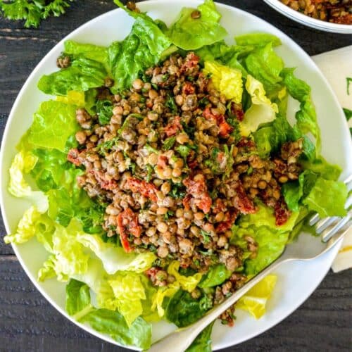 Plate of lettuce topped with lentil salad and a fork.