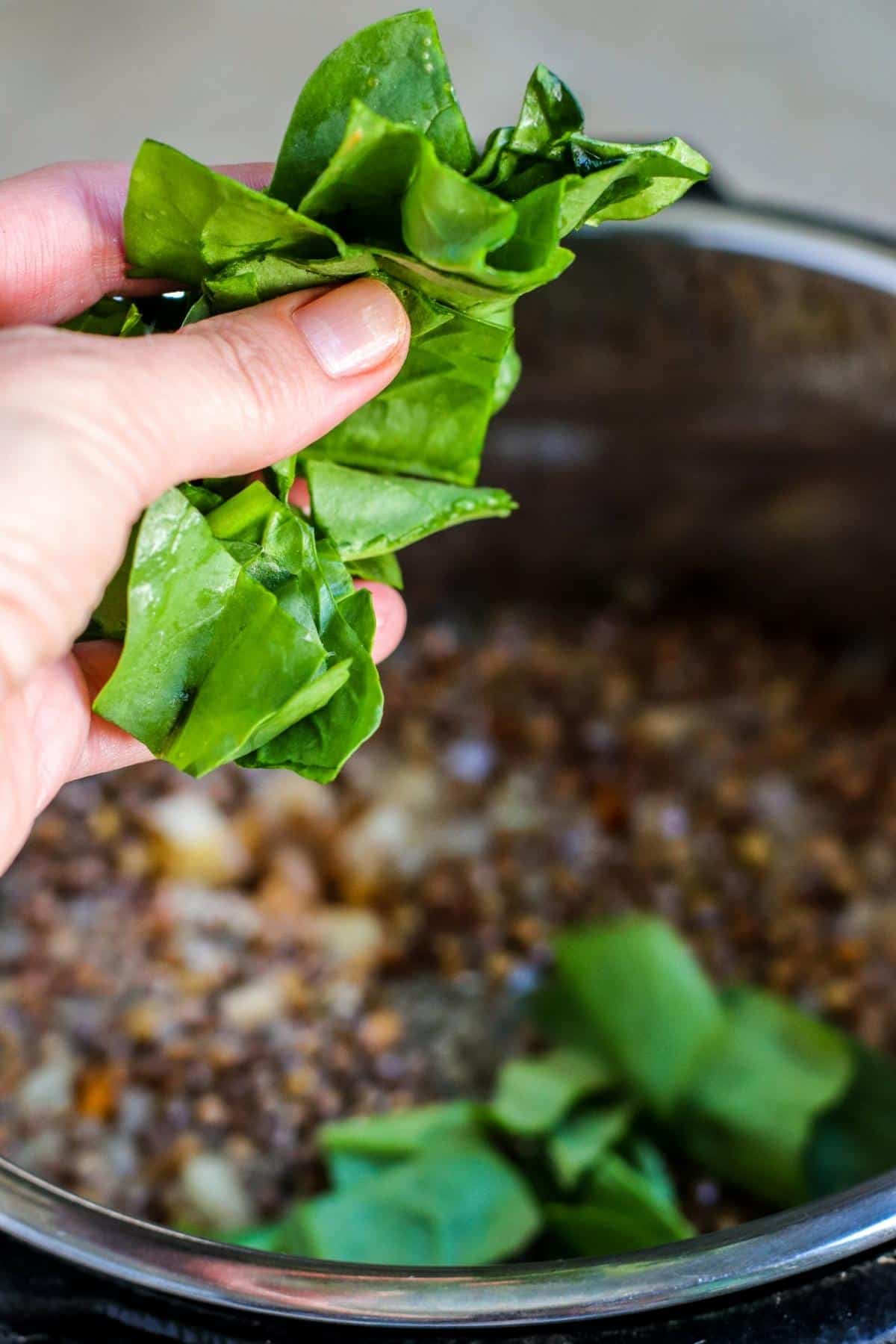 Hand dropping roughly chopped spinach into the soup.