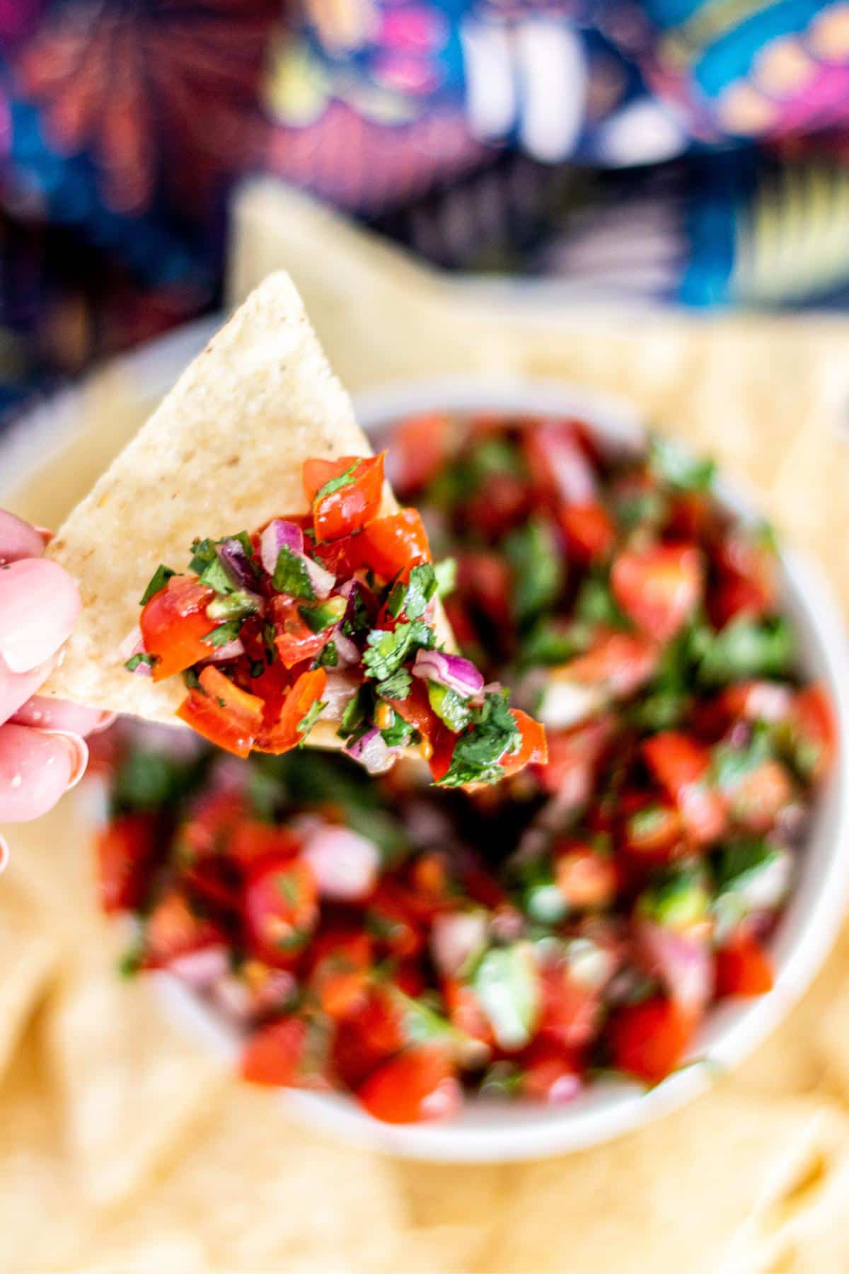 Hand holding tortilla chip with salsa on it.