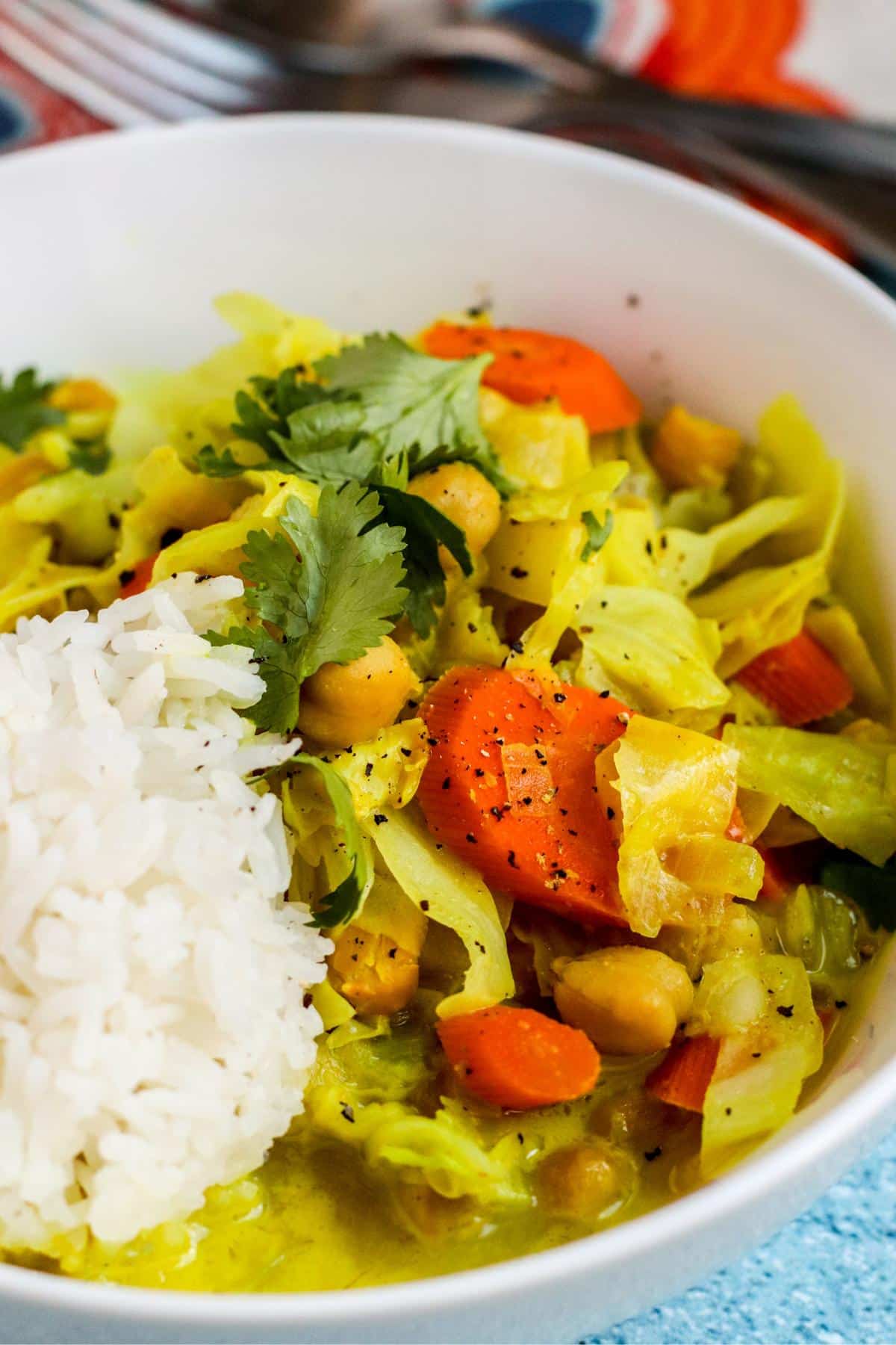 Bowl of curry with rice.