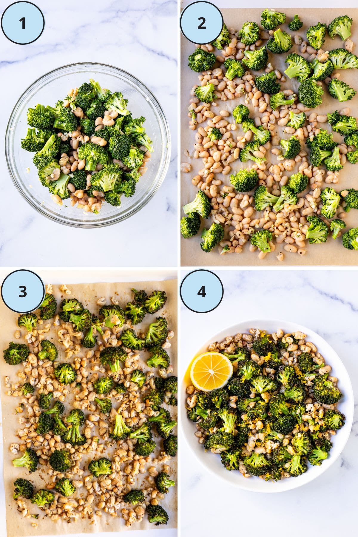Steps showing how to make the recipe: 1, a mixing bowl with the broccoli, beans, and garlic tossed in olive oil; 2, the vegetables spread out on a sheet pan; 3, the roasted vegetables on the sheet pan; and 4, the finished dish in a serving bowl tossed with lemon juice and lemon zest.
